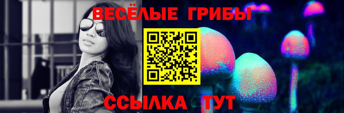 Галлюциногенные грибы GOLDEN TEACHER  закладки  Калуга  Вход с VPN 